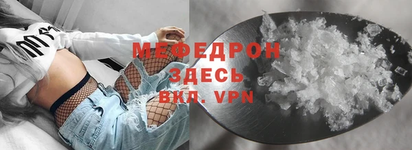 амф Ельня