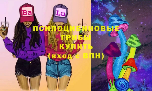 a pvp Елабуга