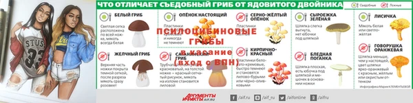 дурь Зеленокумск