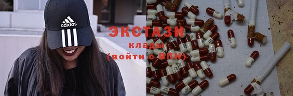 амф Ельня