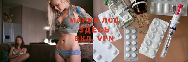 амф Ельня