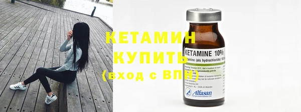 амф Ельня