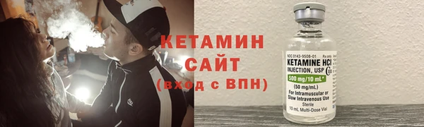 амф Ельня