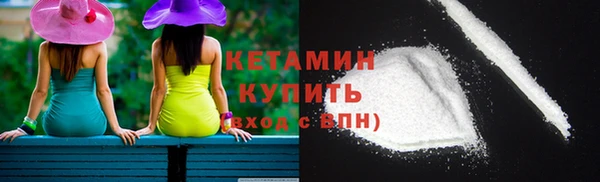 амф Ельня