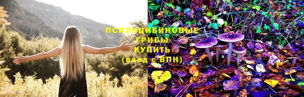дурь Зеленокумск
