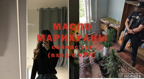 амф Ельня