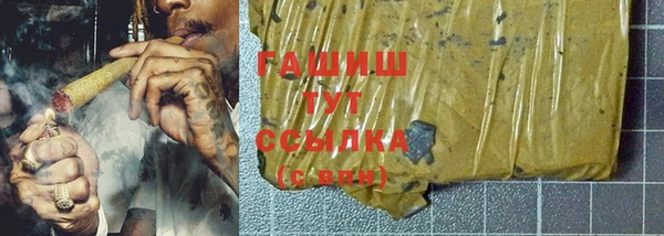 амф Ельня