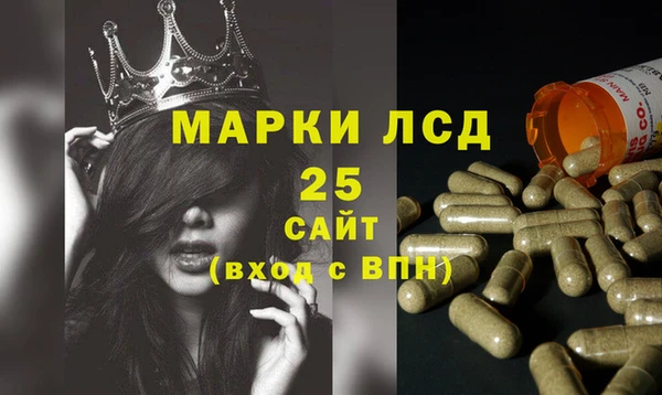 амф Ельня
