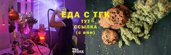 амф Ельня