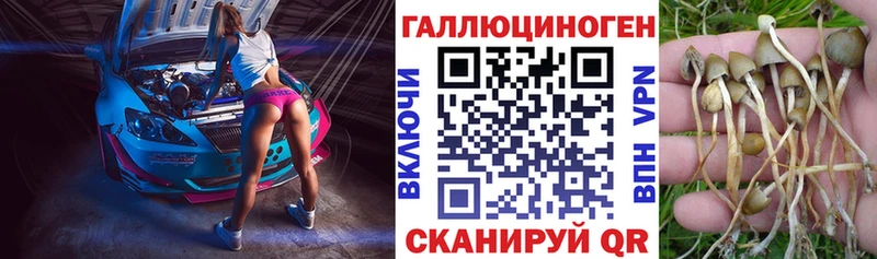 MEGA ССЫЛКА Маркс Псилоцибиновые грибы мухоморы