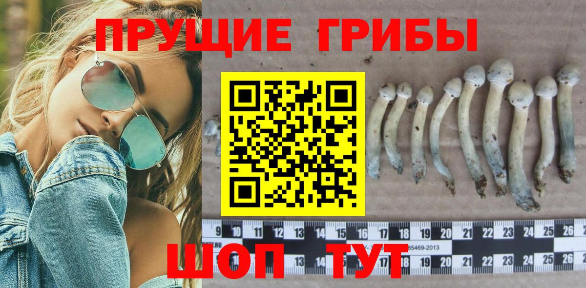 Галлюциногенные грибы мицелий  Галлюциногенные грибы GOLDEN TEACHER  Вход с VPN  Маркс 